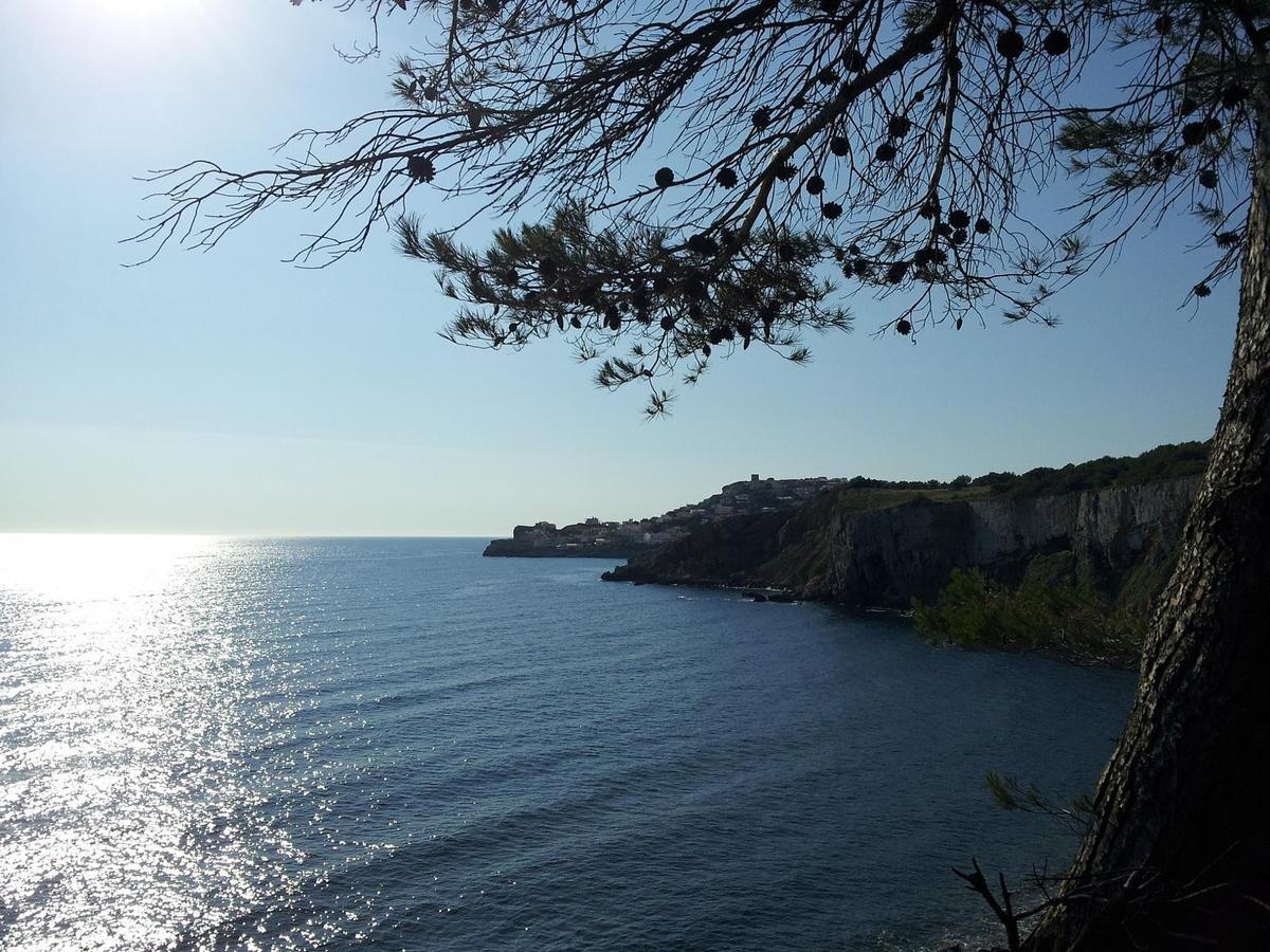 Riells De Mar A6 Daire L' Escala Dış mekan fotoğraf